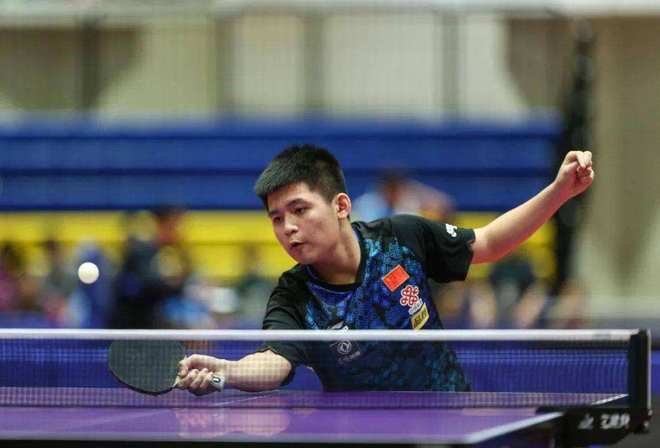 数据显示 数据显示